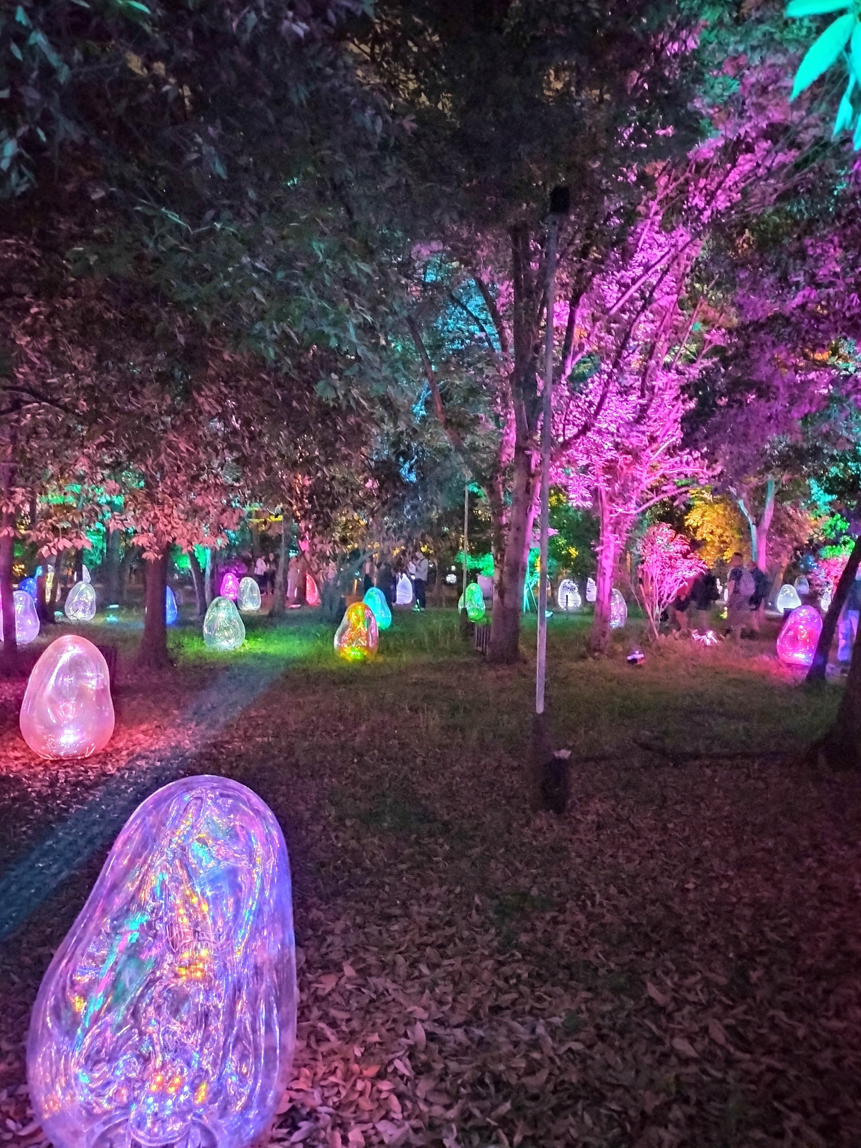 大阪・長居植物園で体験する幻想の夜|チームラボ ボタニカルガーデン